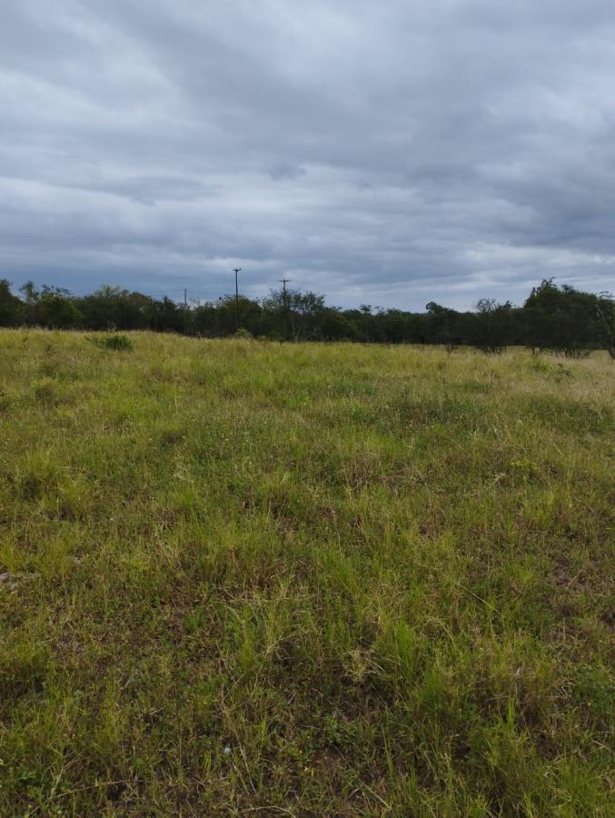 Loteamento e Condomínio, 4 hectares - Foto 2