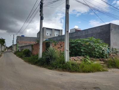Área para Venda, em , bairro Papagaio